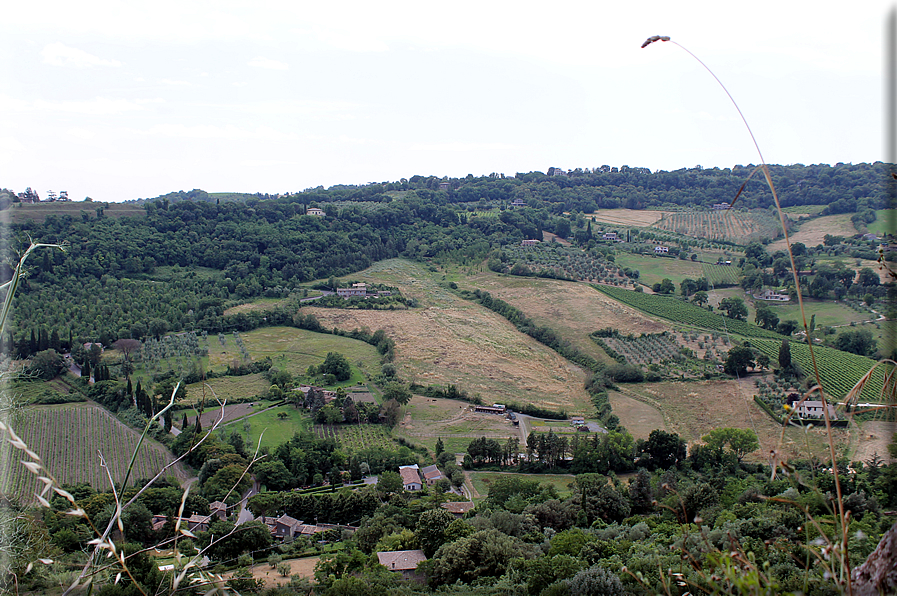 foto Orvieto